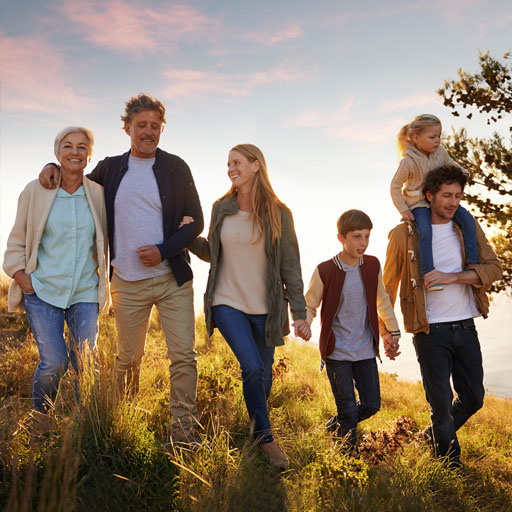 LDC-Individuals-Families